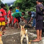 kementan upayakan indonesia bebas rabies 2030