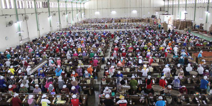 kebutuhan tenaga kerja sektor industri naik 8 persen