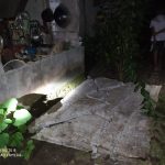 pemerintah alokasikan rp5,56 t untuk remajakan pohon sawit