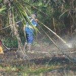 pertamina jalin sinergi dengan masyarakat