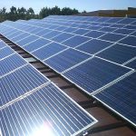 rni gandeng indonesia power kembangkan biomassa untuk ebt