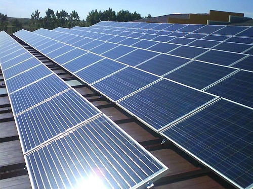 rni gandeng indonesia power kembangkan biomassa untuk ebt