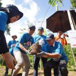 Hari Gerakan Satu Juta Pohon Sedunia, Pertamina Lestarikan Lebih dari 6 Juta Pohon dalam Program Hutan Pertamina