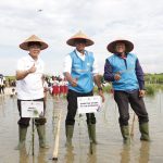 Kontribusi Sektor Lingkungan, PLN Tanam 283.739 Pohon Sepanjang 2023