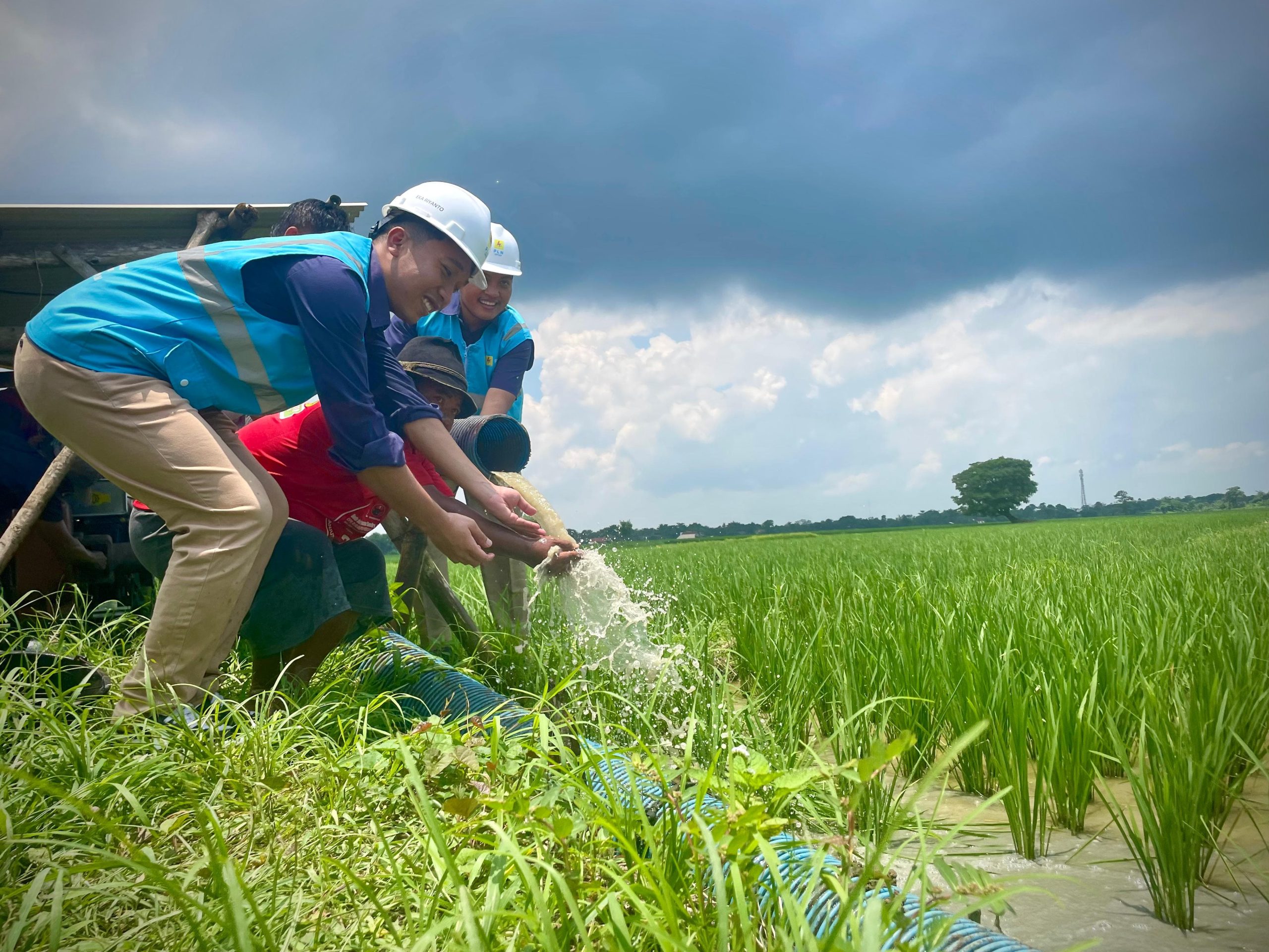 Electrifying Agriculture_ PLN, Bikin Biaya Operasional Petani di Pekalongan Jateng Hemat 80%