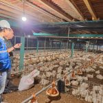 Tarif Listrik April-Juni 2024 Tetap, Pemerintah Perhatikan Daya Beli Masyarakat dan Dukung PLN Jaga Mutu Pelayanan