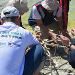 Pelindo Lanjutkan Program Pemberdayaan Masyarakat danPelestarian Lingkungan di Raja Ampat