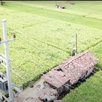 Berikan Kompensasi Listrik Rp 17,8 T ke PLN,4 Pemerintah Hadir Lindungi Rakyat Dalam Pemulihan Ekonomi