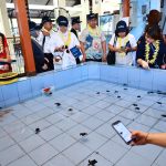 Pertamina Ajak Delegasi ASCOPE Melepas Tukik di Lokasi Konservasi Penyu