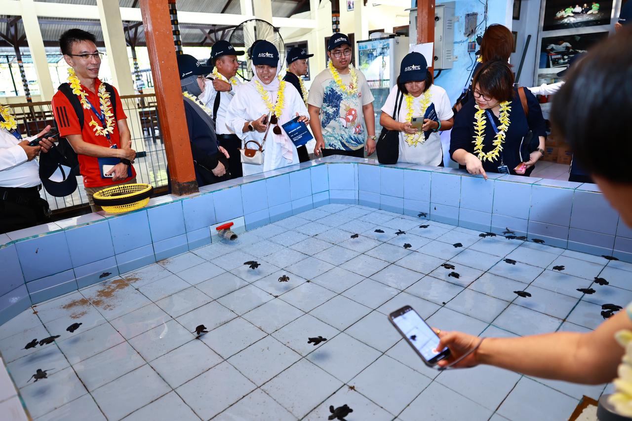 Pertamina Ajak Delegasi ASCOPE Melepas Tukik di Lokasi Konservasi Penyu
