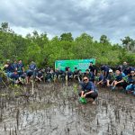 Peringati Hari Lingkungan Hidup Sedunia, PLN Tanam 3.000 Mangrove di Pesisir Sulawesi Utara