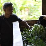 Pengembangan Biomassa PLN di Tasikmalaya, Dikelola Masyarakat, Didukung Pemerintah