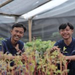 Pertamina Dukung 13 Kelompok Perhutanan Sosial untuk Penguatan Komoditas Pangan