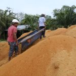 Co-Firing Biomassa di PLTU PLN Hasilkan 1,67 Juta MWh Listrik Hijau Sepanjang 2024