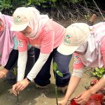 PLN Jadi BUMN Pertama dengan Standar Internasional dalam Kesetaraan Gender