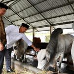 Sukabumi Didorong Jadi Role Model Nasional untuk Pembentukan Koperasi Desa Merah Putih