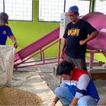 Transformasi Desa Mernek: Dari Sawah Terendam Jadi Sentra Ketahanan Pangan