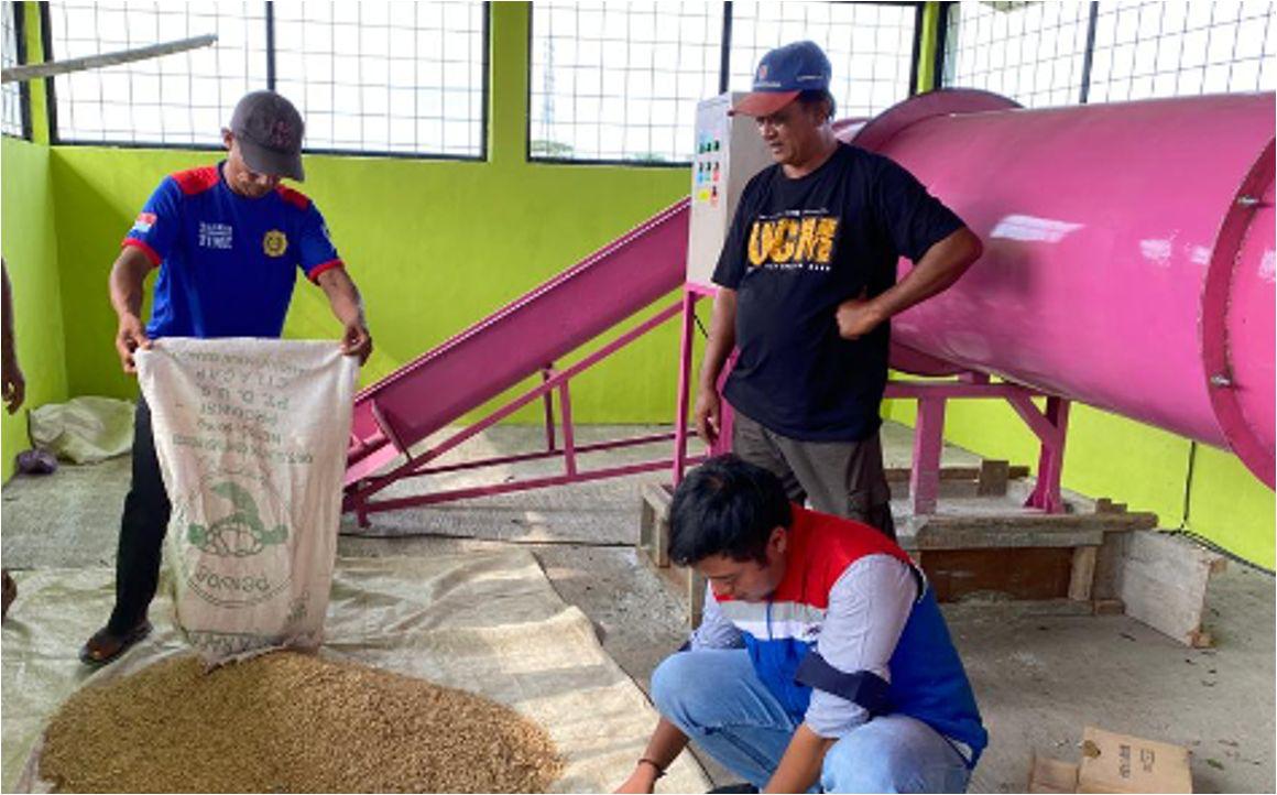 Transformasi Desa Mernek: Dari Sawah Terendam Jadi Sentra Ketahanan Pangan