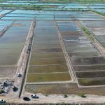 NTB Miliki Potensi Jadi Sentra Garam Nasional