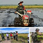 Ketahanan Pangan Nasional Jadi Jurus Diplomasi Strategis Indonesia