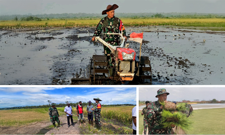 Ketahanan Pangan Nasional Jadi Jurus Diplomasi Strategis Indonesia