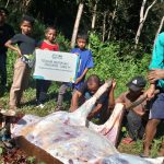 PLN Tebar 2.800 Hewan Kurban, Warga Pelosok Rasakan Hangatnya Iduladha