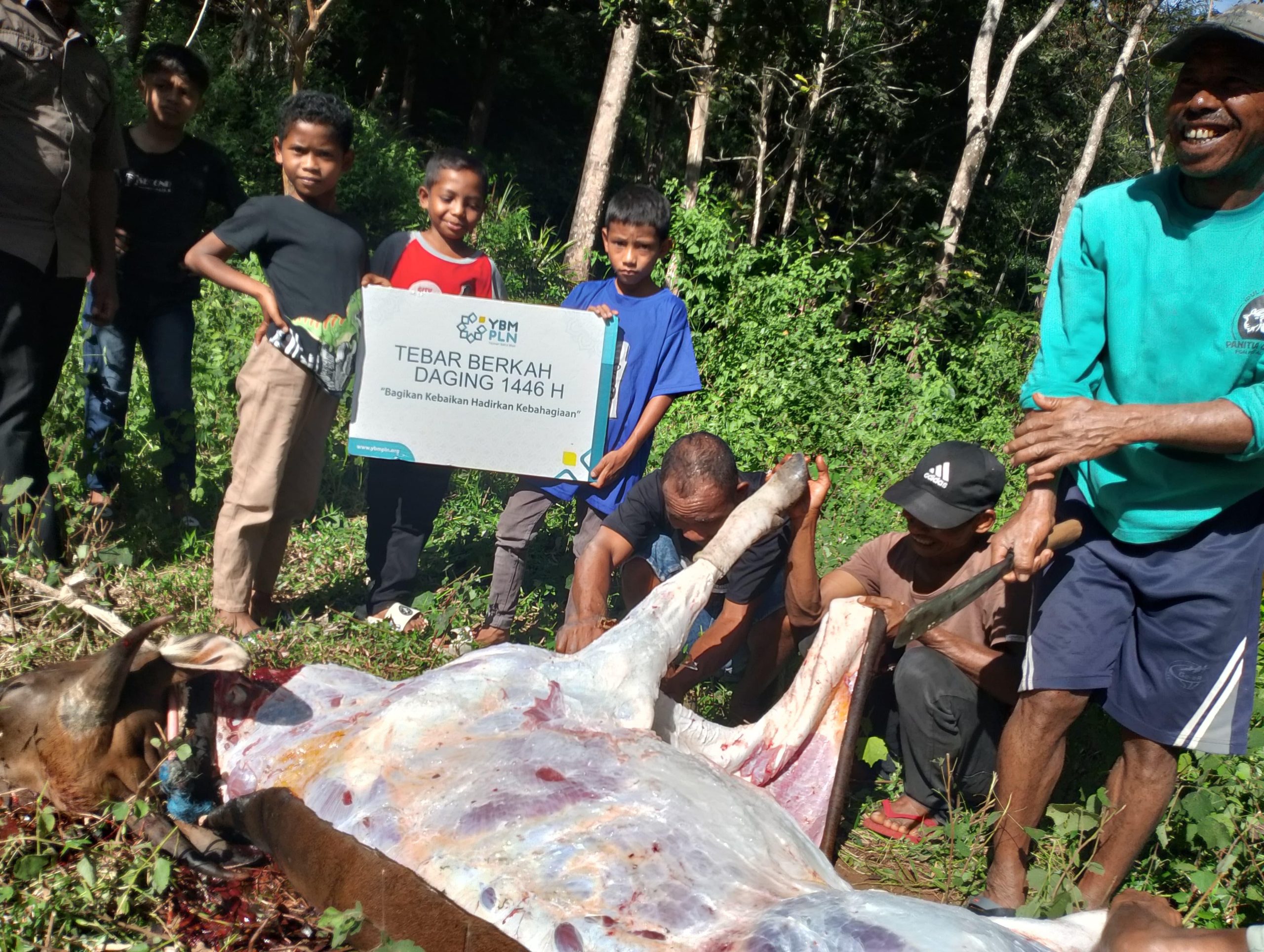 PLN Tebar 2.800 Hewan Kurban, Warga Pelosok Rasakan Hangatnya Iduladha