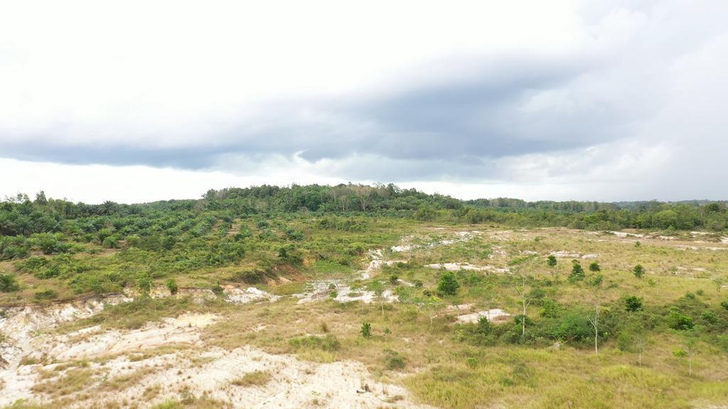 Viral Isu 2026 Tanah Girik Disita Negara, Kementerian ATR/BPN Buka Suara: Nggak Benar!