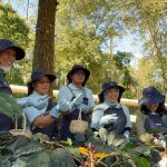 Kopi Kamojang Mendunia, Panas Bumi Pertamina Jadi Kuncinya