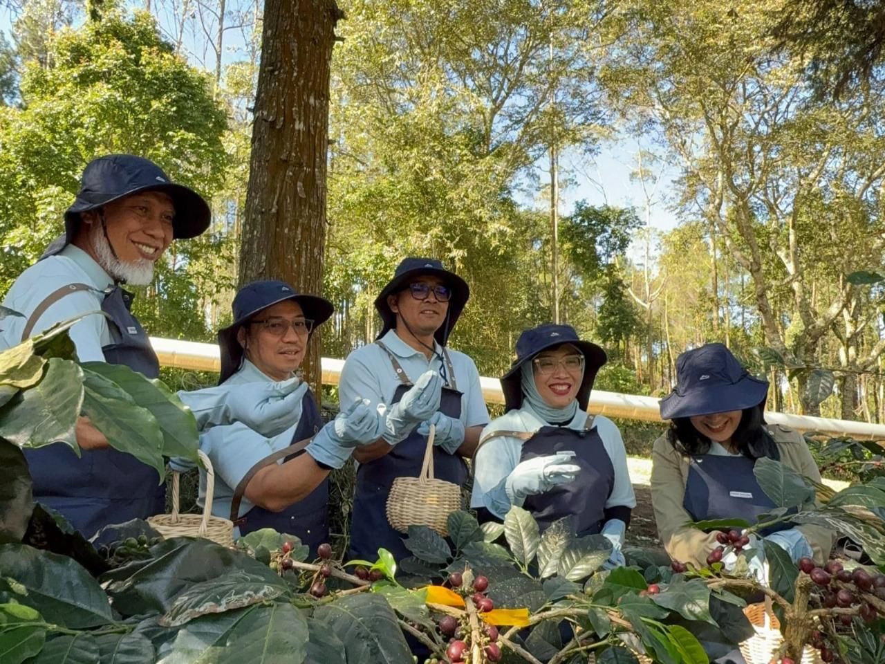 Kopi Kamojang Mendunia, Panas Bumi Pertamina Jadi Kuncinya
