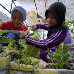 Bukan Dongeng! Bocah Ini Ciptakan Aplikasi Hijau, Didukung Program Pertamina