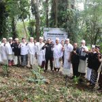 Hutan Disulap Jadi ATM! Pertamina Buktikan Konservasi Bisa Bikin Cuan