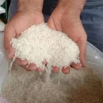 Heboh Beras Oplosan! YLKI Desak Pemerintah Bongkar Dalangnya, Rakyat Dirugikan!