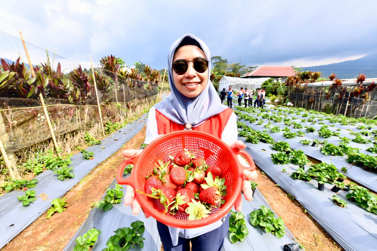 Pertamina Hadirkan Desa Energi Berdikari di Rantau Dedap, Sinergi Energi Hijau dan Pemberdayaan Warga
