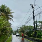 PLN Pulihkan Jaringan Pascabencana, Aktivitas Warga Bali Kembali Normal