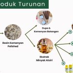 Jadi Bahan Parfum & Aromaterapi. Kemenyan RI Diminati Industri RRT, AS dan Prancis