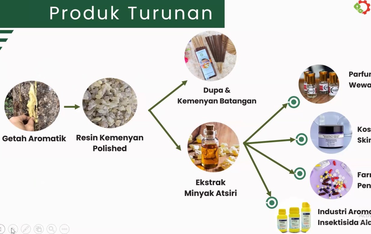 Jadi Bahan Parfum & Aromaterapi. Kemenyan RI Diminati Industri RRT, AS dan Prancis