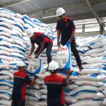 HKTI menilai penurunan harga pupuk subsidi hingga 20% di era Presiden Prabowo berdampak positif bagi kesejahteraan petani