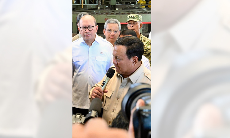 Pemerintah Sikat Perusahaan Terlibat Penambangan Liar. 6 Smelter Disita