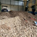 Limbah Jagung Jadi Sumber Listrik, Petani Tuban Nikmati Cuan Tambahan