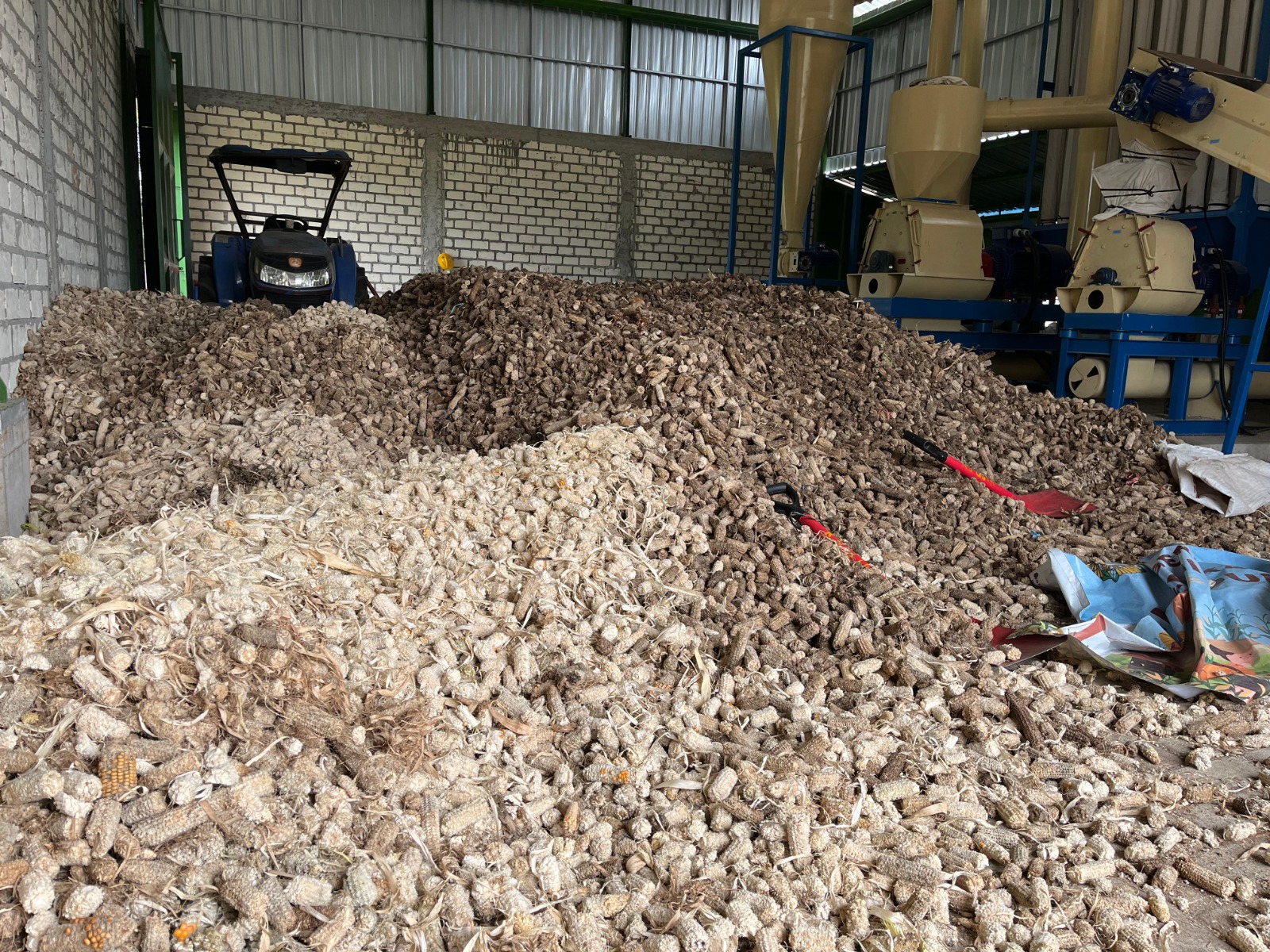 Limbah Jagung Jadi Sumber Listrik, Petani Tuban Nikmati Cuan Tambahan