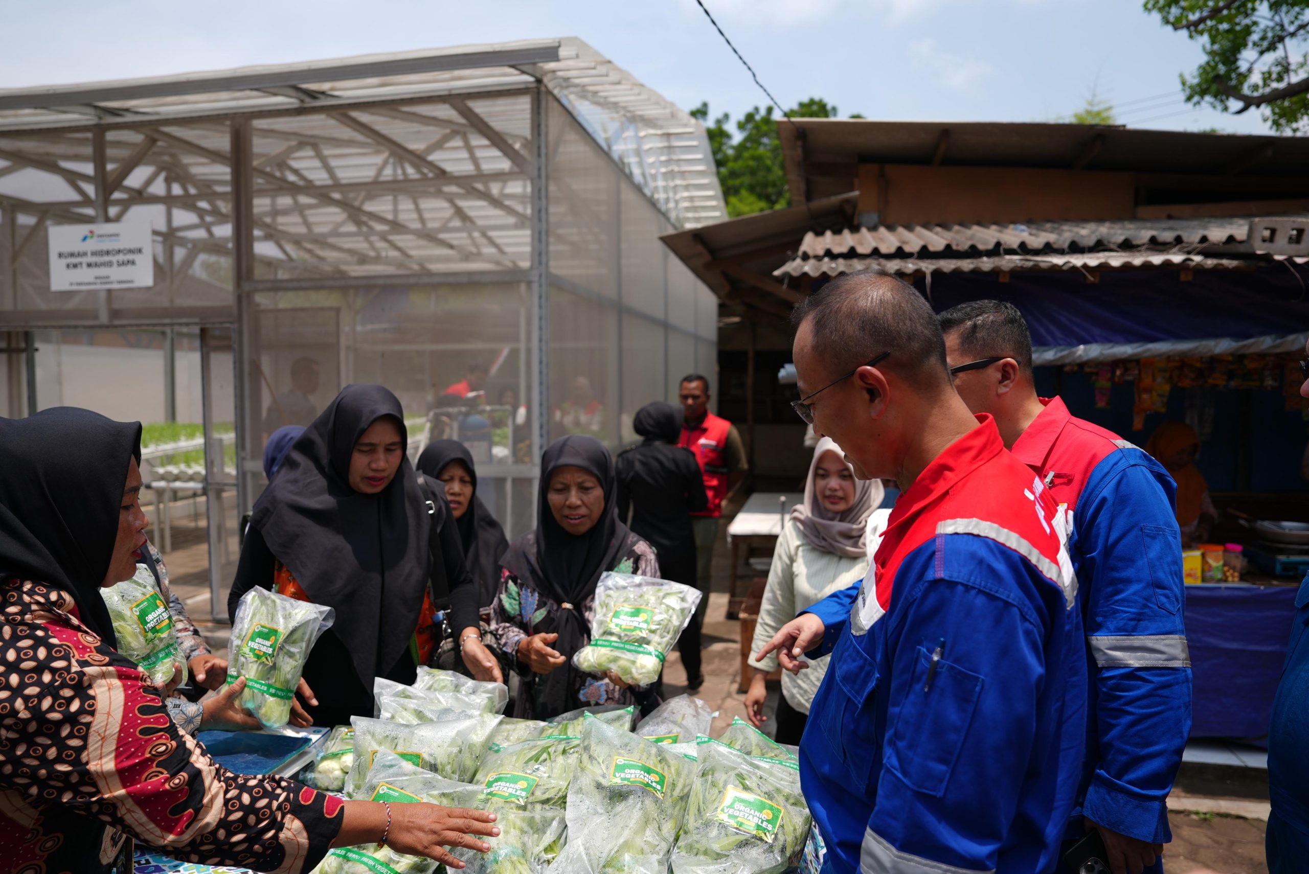 Pertamina Dorong Kemandirian Energi dan Ketahanan Pangan Lewat Desa Energi Berdikari di Banten