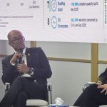 PLN Ungkap Strategi Agresif Transisi Energi di COP30, Targetkan Lonjakan EBT hingga 52,9 GW