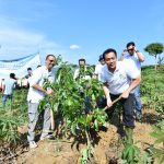 Pertamina dan KLH Tanam Ribuan Pohon Produktif di Bogor, Dukung Target Net Zero Emission 2060
