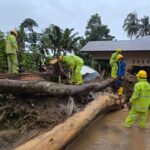 PLN Kebut Pemulihan! Listrik Sumbar Sudah Menyala 99,8%, Mahyeldi Angkat Jempol