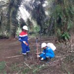 Genjot Eksplorasi Migas, Elnusa Perkuat Teknologi Seismik di Indonesia Timur Sejak Awal 2026