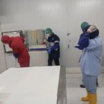 Jelang Imlek, Ekspor Perikanan Ke Taiwan dan Korsel Diprediksi Melesat