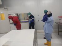 Jelang Imlek, Ekspor Perikanan Ke Taiwan dan Korsel Diprediksi Melesat