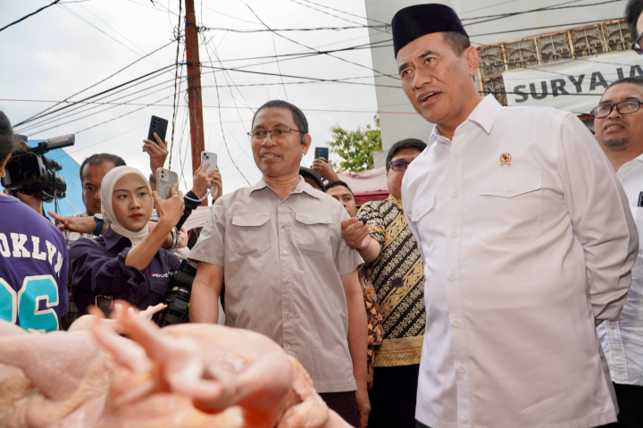 Harga Ayam Jakarta Dipastikan Aman, Kementan Bongkar Fakta Sebenarnya di Pasar Minggu