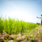 Stok Beras Nasional Tembus 27,9 Juta Ton! Mentan Amran: Pasokan Aman Hingga 10 Bulan